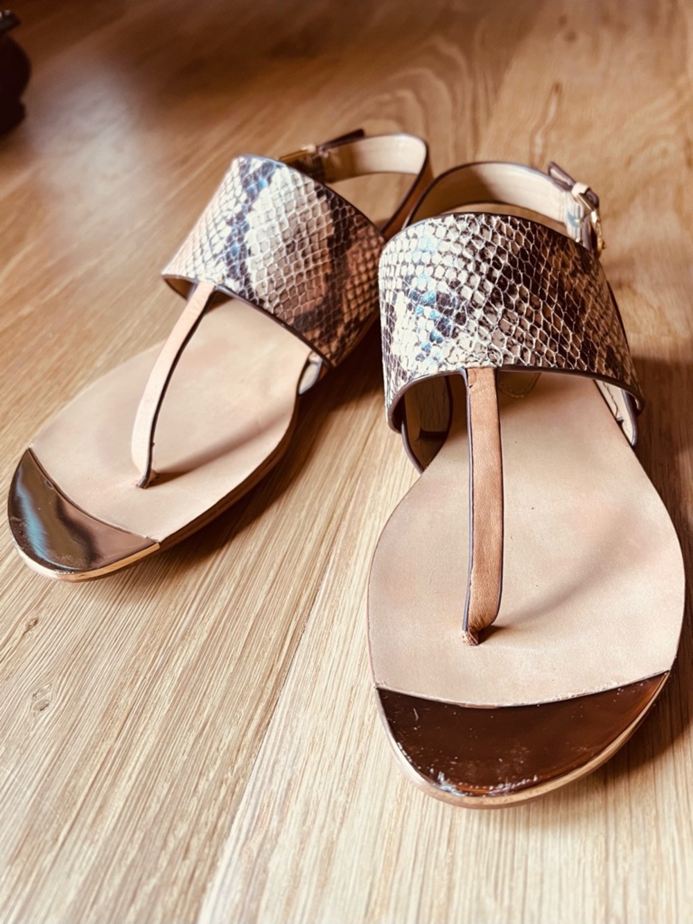 Isola Taupe Snake-Print Thong Sandals with Metallic Accents